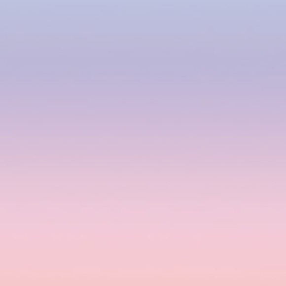 Meet your Posher, Hailey - Picture 1 of 1